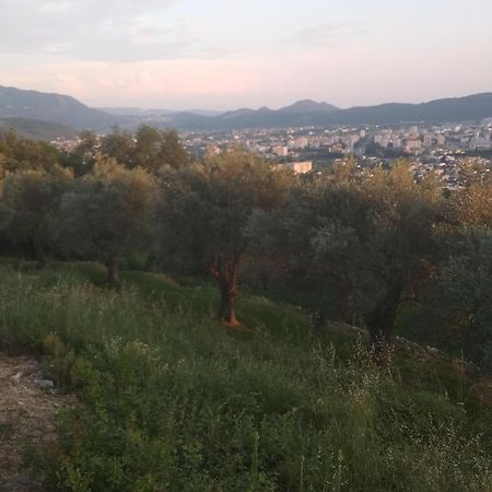 Apartman "Marko" Bar Εξωτερικό φωτογραφία