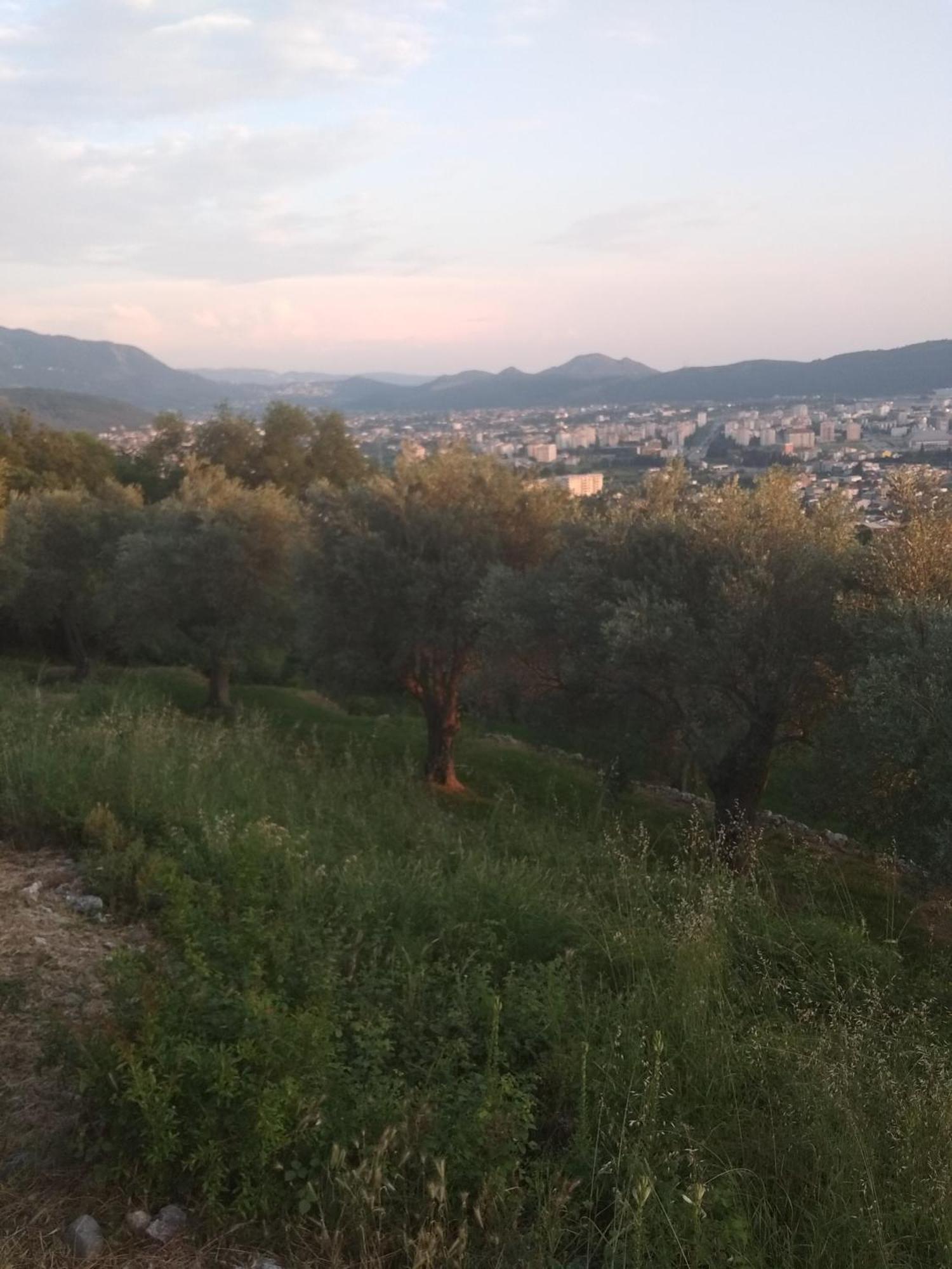 Apartman "Marko" Bar Εξωτερικό φωτογραφία