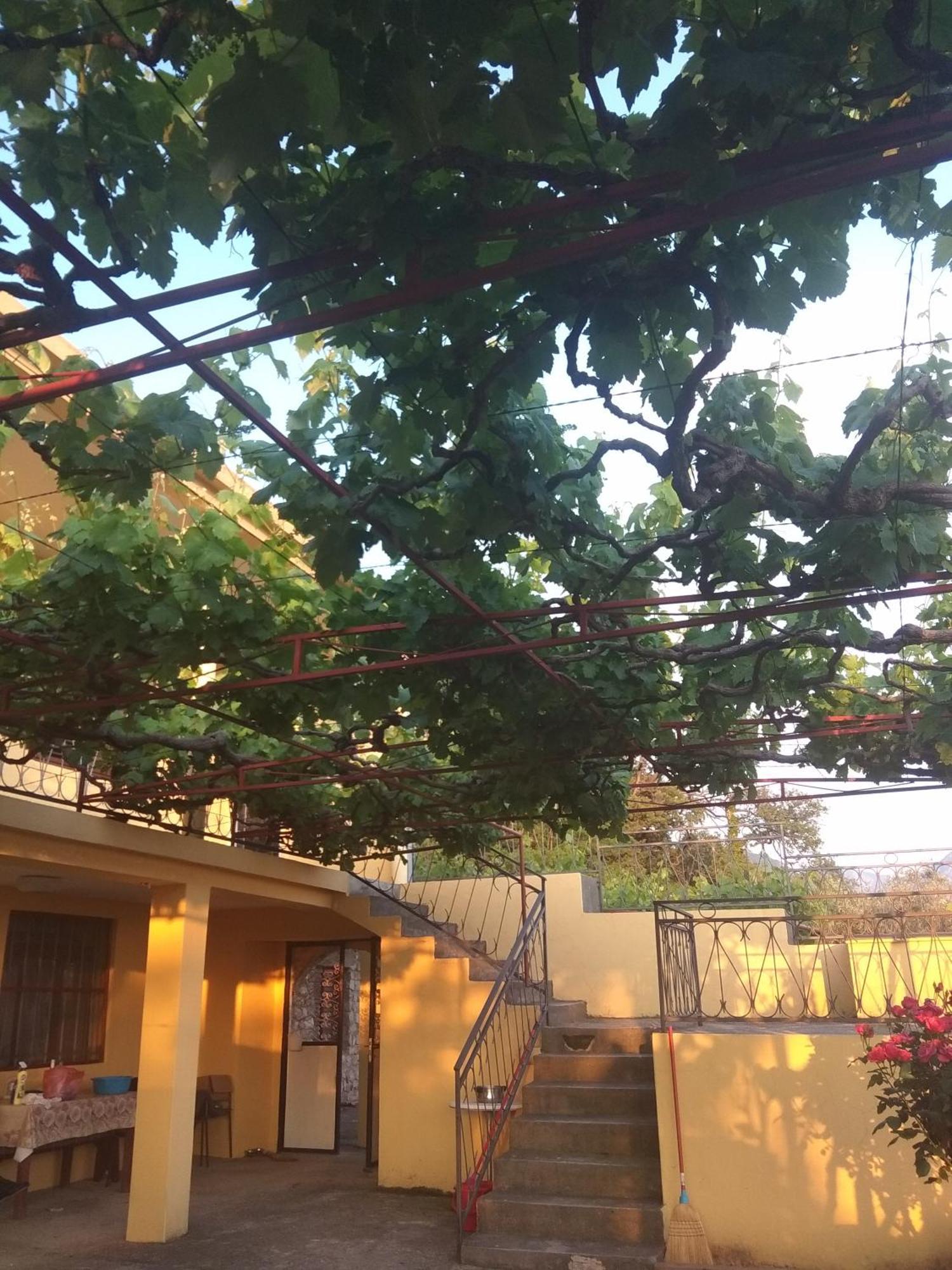Apartman "Marko" Bar Εξωτερικό φωτογραφία