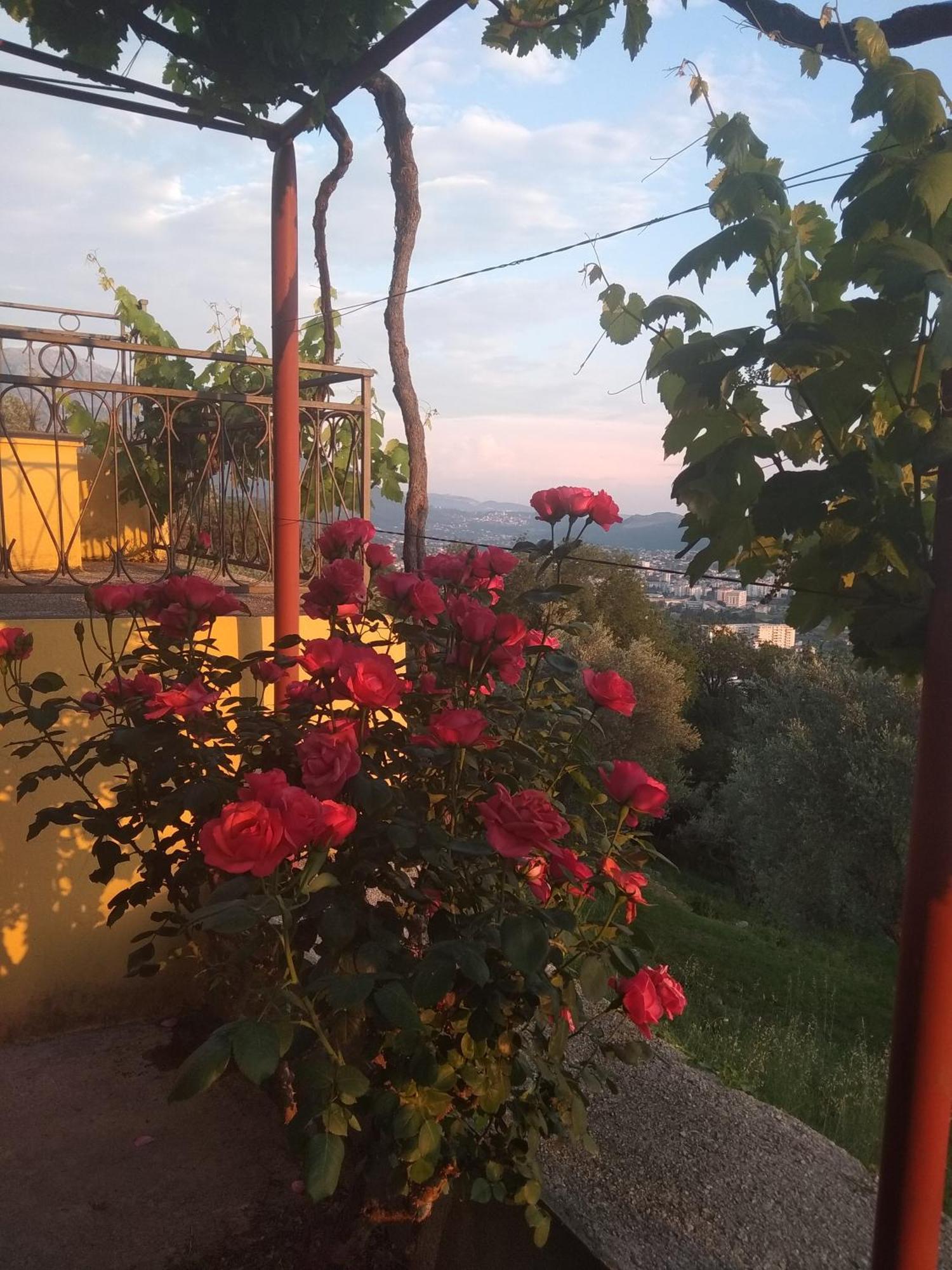 Apartman "Marko" Bar Εξωτερικό φωτογραφία