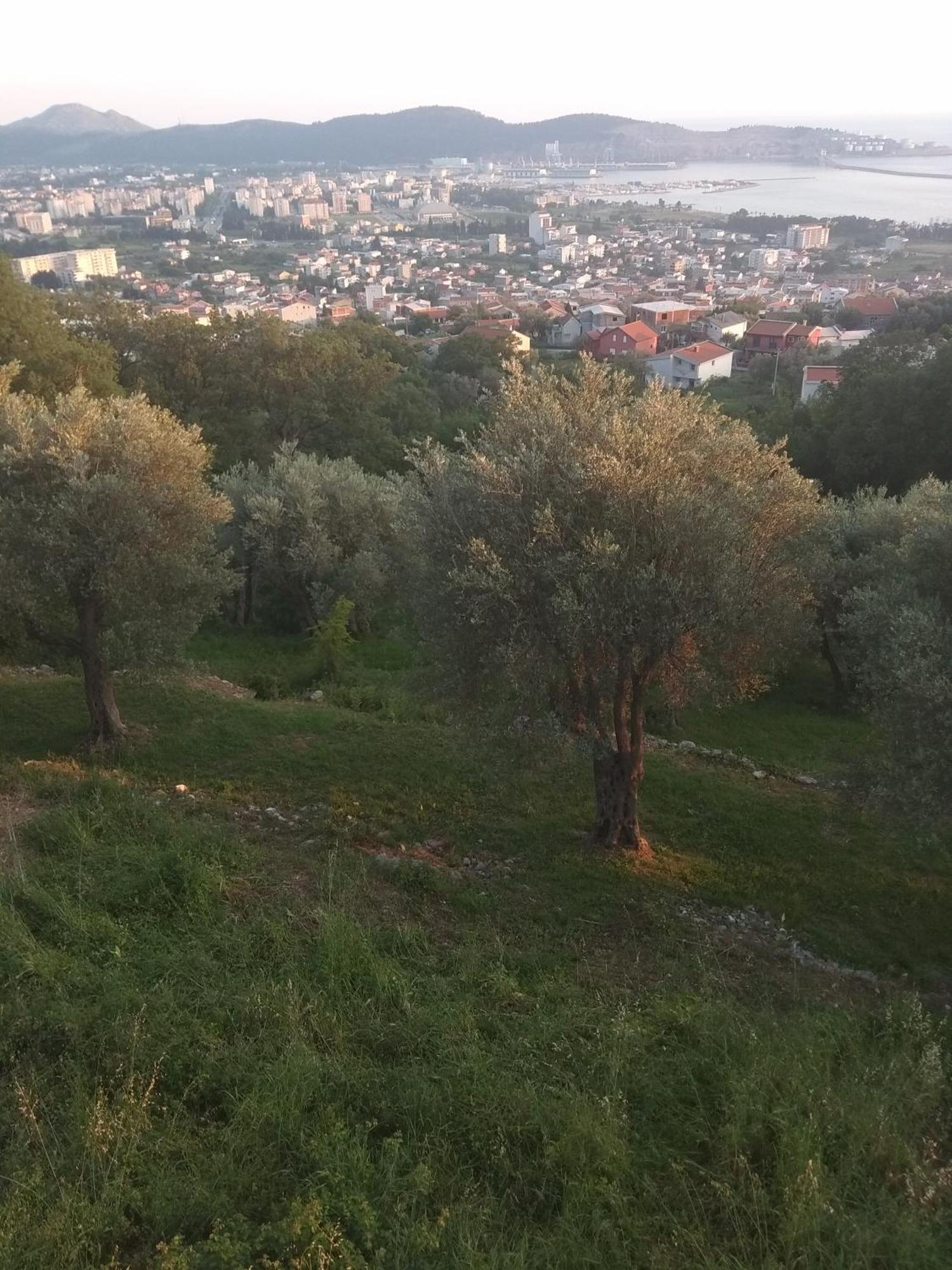 Apartman "Marko" Bar Εξωτερικό φωτογραφία