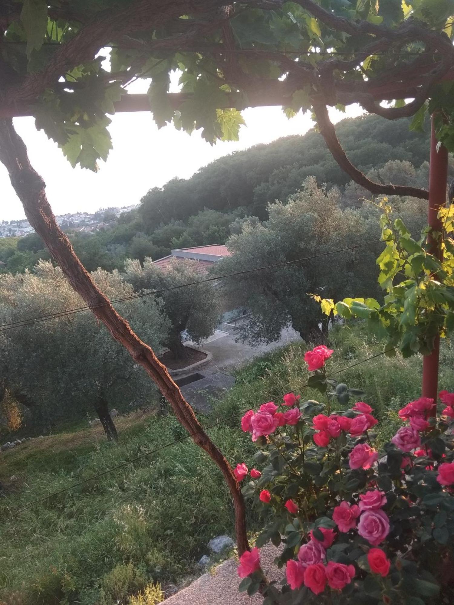Apartman "Marko" Bar Εξωτερικό φωτογραφία